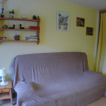 Studio Cosy Au Centre De Samoens Avec Parking Privatif - Fr-1-629-118 Eksteriør bilde